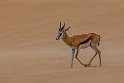 136 Walvisbaai, Namibie